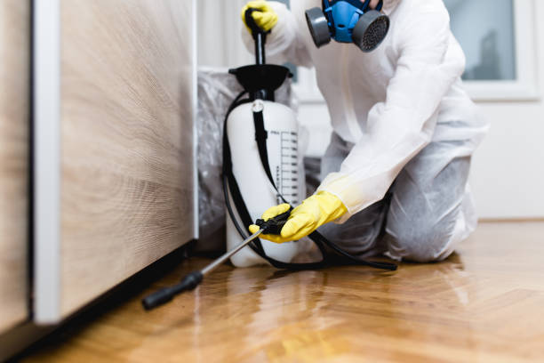 Best Flea Control Services  in North Potomac, MD