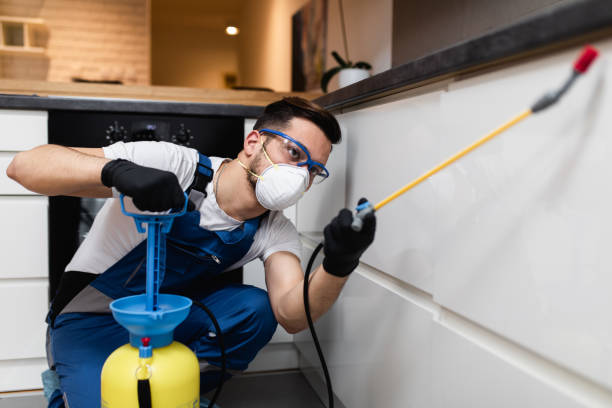Best Mosquito Control Services  in North Potomac, MD