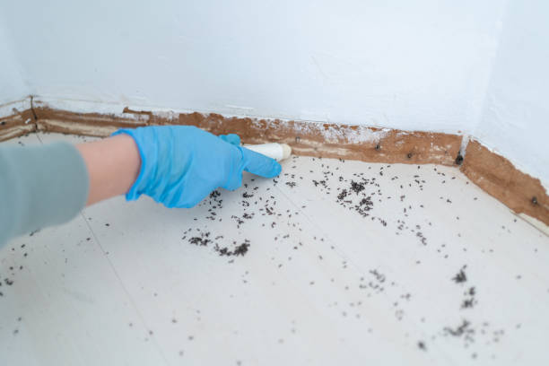 Best Wildlife Control Services  in North Potomac, MD